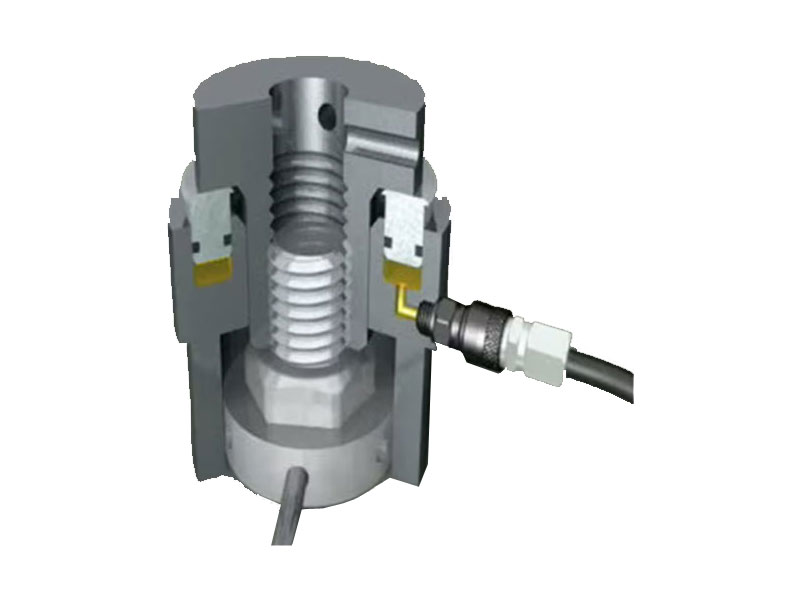Bolts and tightening systems